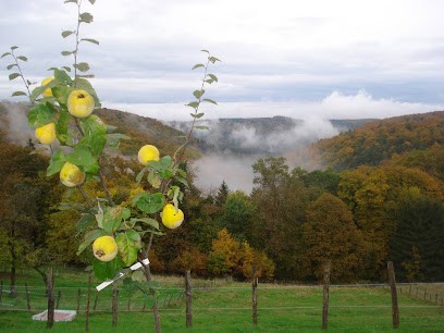 Le loft de la Halte des Sources, Location de Vacances à Zittersheim