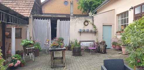 La Maison de juliette, Chambre d'Hôtes à Saint-Hippolyte