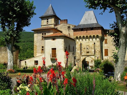 Chambres d'Hôtes Château de la Hille, Chambre d'Hôtes à Montégut-Plantaurel