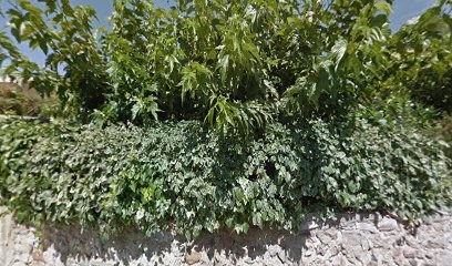 GITE la Rabasiere, Location de Vacances à La Bastide-d'Engras