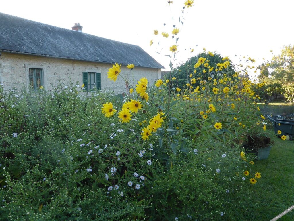 Les Buissonnets, Chambre d'Hôtes à Giverny