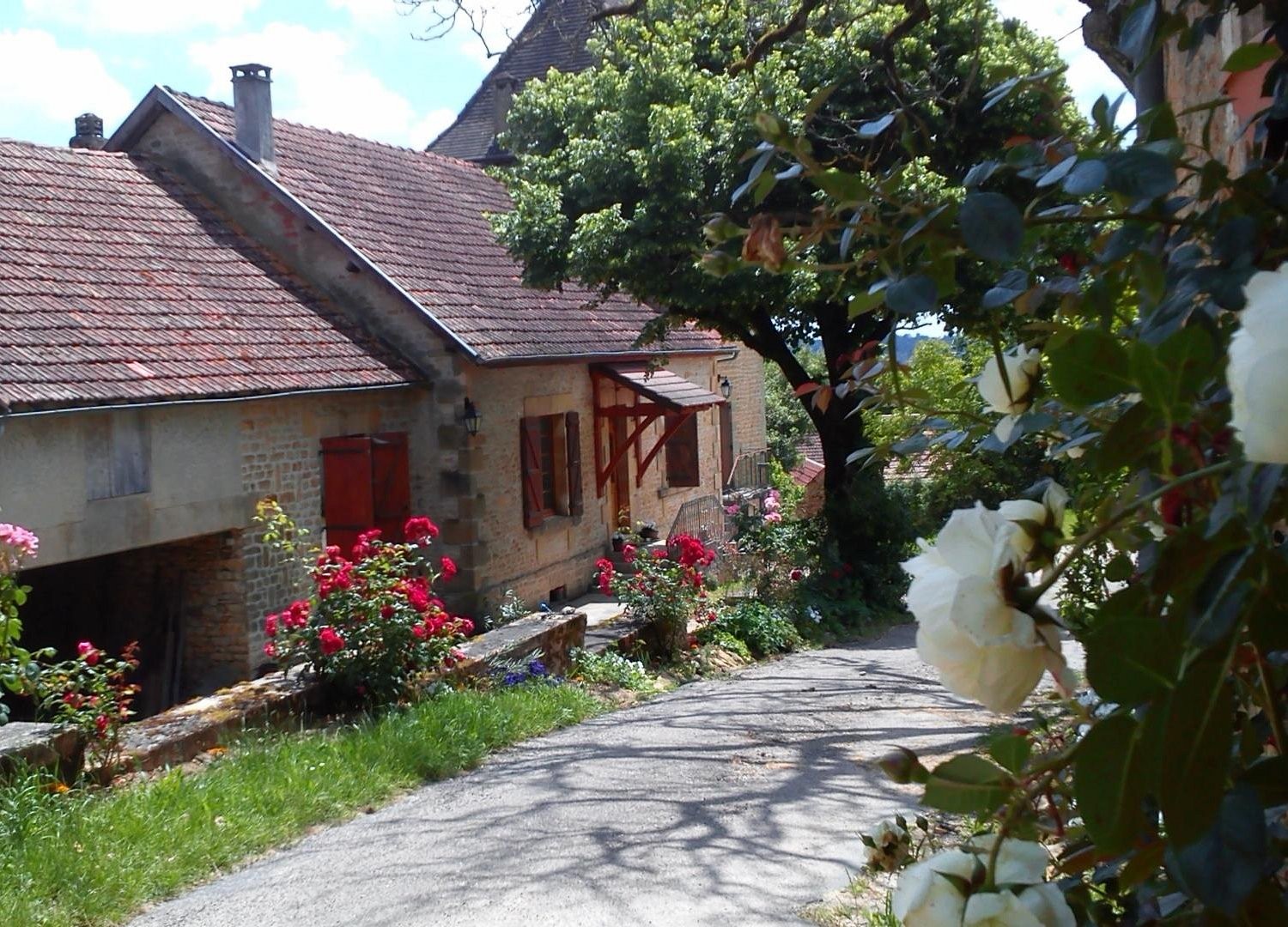 Domaine Bois de Capy, Chambre d'Hôtes à Proissans