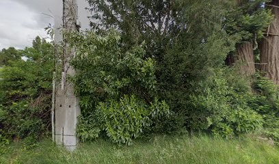 Manoir Bacay, Chambre d'Hôtes à Pontonx-sur-l'Adour