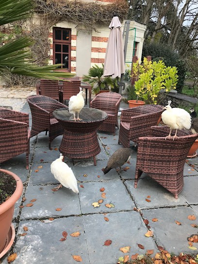 Belle Poule Réception, Chambre d'Hôtes aux Ponts-de-Cé