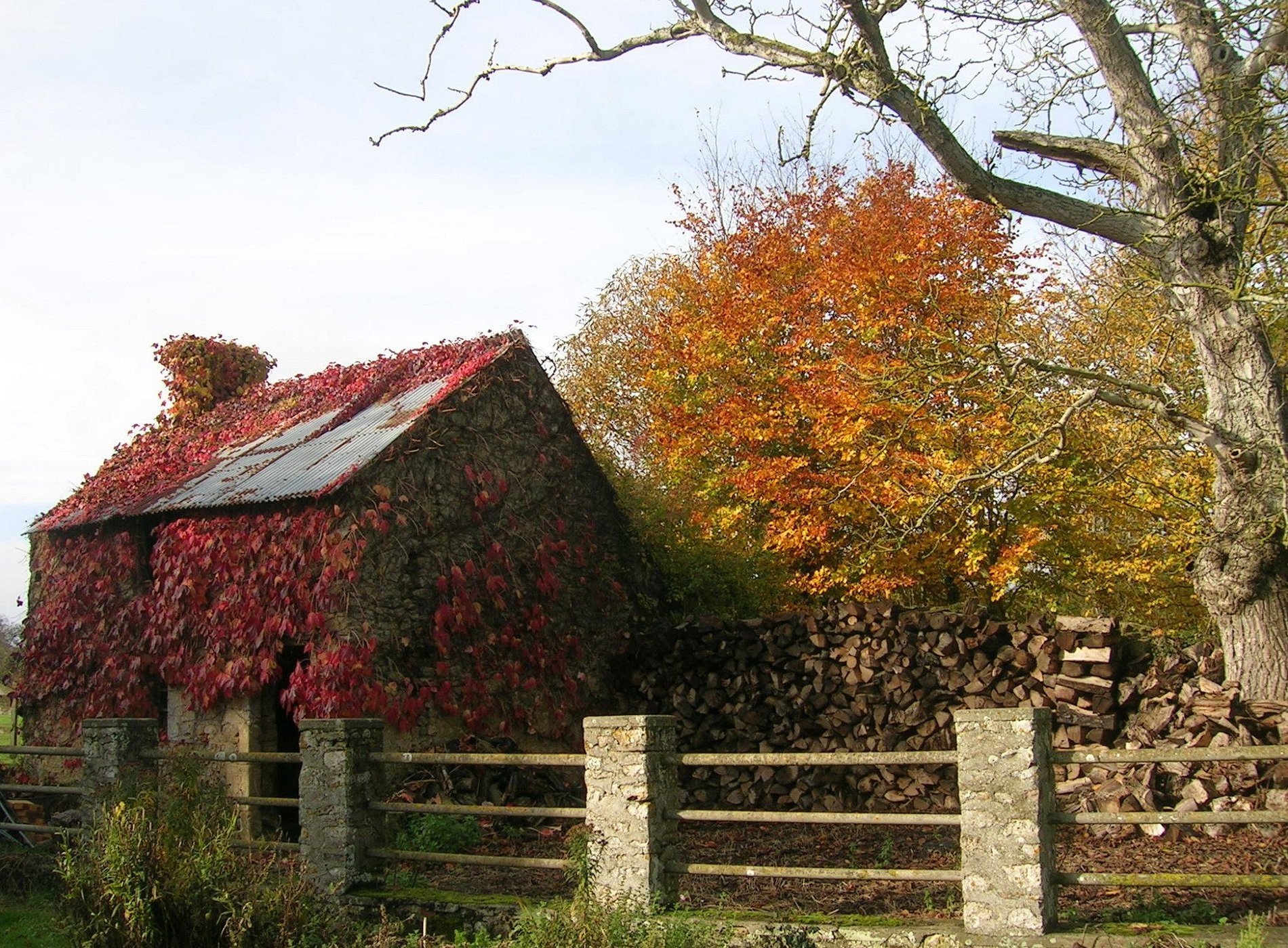 Ferme De La Houlotte, Chambre d'Hôtes à Nonant