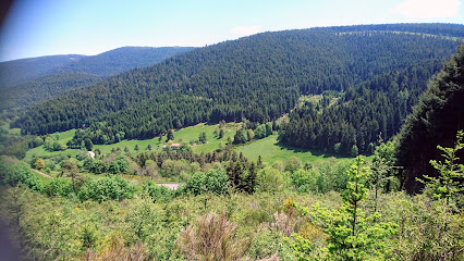 Bulgarana Location De Vacances à Bourg-Argental