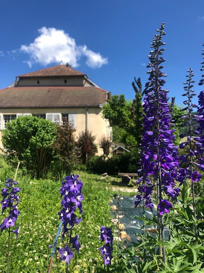 Lison des Sources, Chambre d'Hôtes à Nans-sous-Sainte-Anne