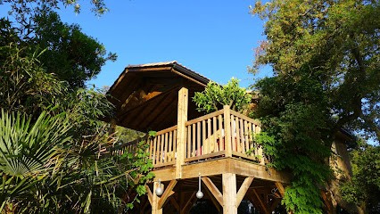 Hilltop Cats - Rental, Location de Vacances à Labenne