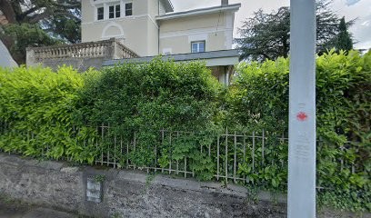 Guesthouse Des Marronniers, Maison d'Hôtes à Écully