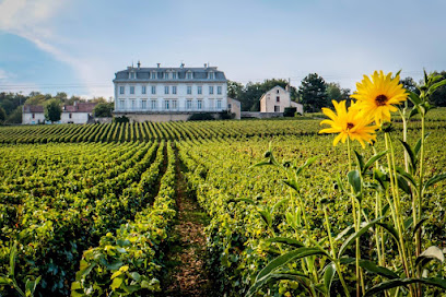 Château De Comblanchien Route Des Grands Crus Bourgogne, Location De Vacances à Comblanchien