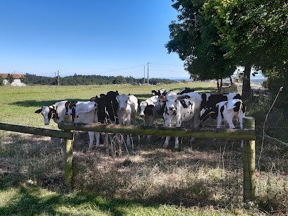 FERME LAVAL, Location de Vacances à Saint-Polgues