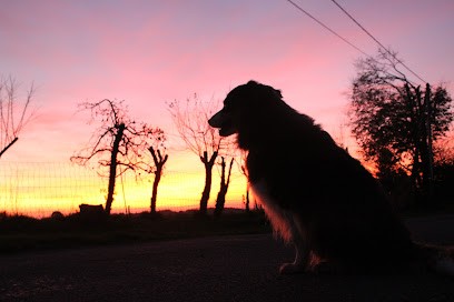 Le Petit Cottage Dordogne France, Location de Vacances à Saint-Mesmin