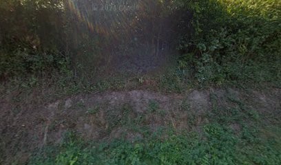 My Normandy Llife, Chambre d'Hôtes à Nicorps