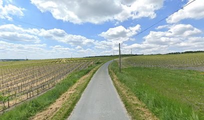 Havre de paix chaleureux&calme au cœur des Vignes, Chambre d'Hôtes à Bonneuil