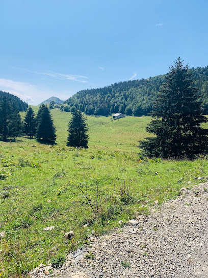 Grizzli Rouge - Pied Des Pistes Avec Parking - Lelex, Location De Vacances à Lélex