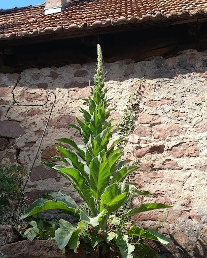 Ferienhaus Elsass, Location de Vacances à Oberbronn