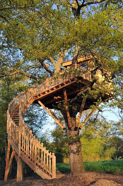Tree House 64, Chambre d'Hôtes à Susmiou