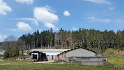 Petit Bernard, Chambre d'Hôtes à La Salvetat-sur-Agout