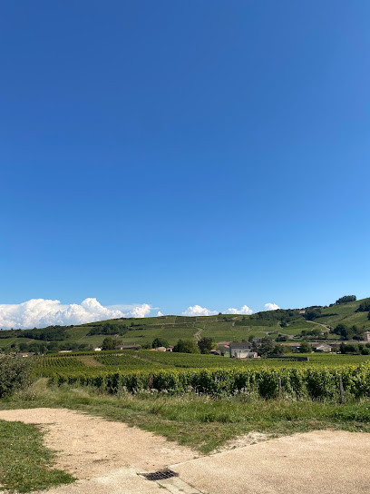 Les Hirondelles De Fuissé, Location De Vacances à Fuissé