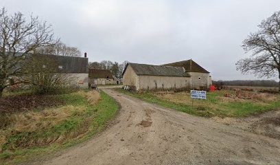 Chambres d'hôtes du Relais, Chambre d'Hôtes à Pellevoisin