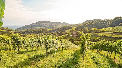 DOMAINE DES HAUTES GACHERES, Chambre d'Hôtes à Lhomme