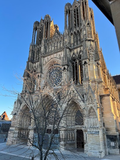 Peregrine ´s Nest #Reims #rbnb, Chambre d'Hôtes à Reims