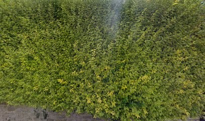 EDZO & GUEST, Chambre d'Hôtes à Montfarville