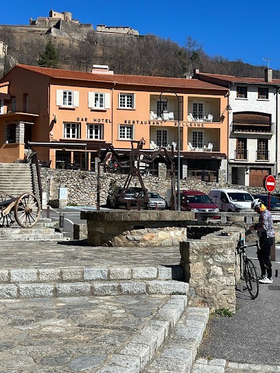 Mas Taillet Maison d'Hotes, Maison d'Hôtes à Prats-de-Mollo-la-Preste