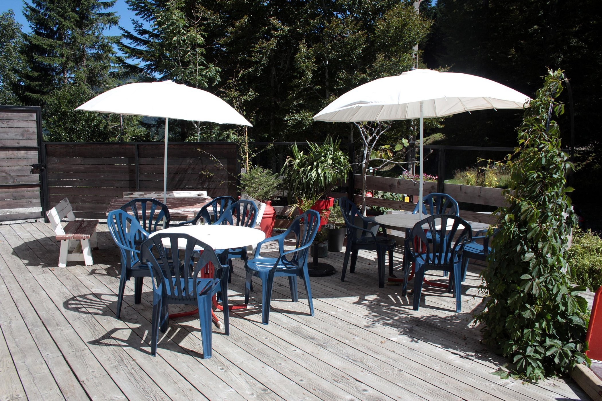 Les Ateliers du Cucheron, Chambre d'Hôtes à Saint-Pierre-d'Entremont