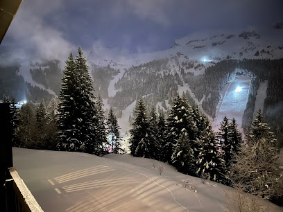Studio 1700 Flaine, Location De Vacances à Arâches-la-Frasse