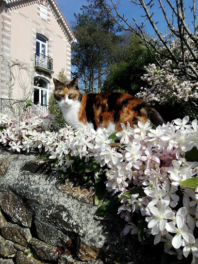 chambre d'hôtes Le Rossignol, Chambre d'Hôtes à Saint-Étienne-de-Montluc