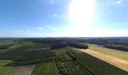 Colin Damien, Chambre d'Hôtes à Loromontzey