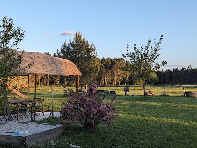 Lucatum Vacances, Location De Vacances à Gaillan-en-Médoc