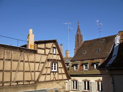 Charmant duplex sous les toits de Strasbourg, Location de Vacances à Strasbourg