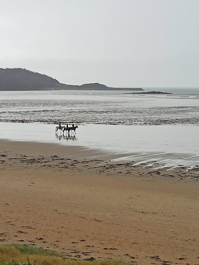 Gîte la maison de st efflam ***, Location de Vacances à Plestin-les-Grèves