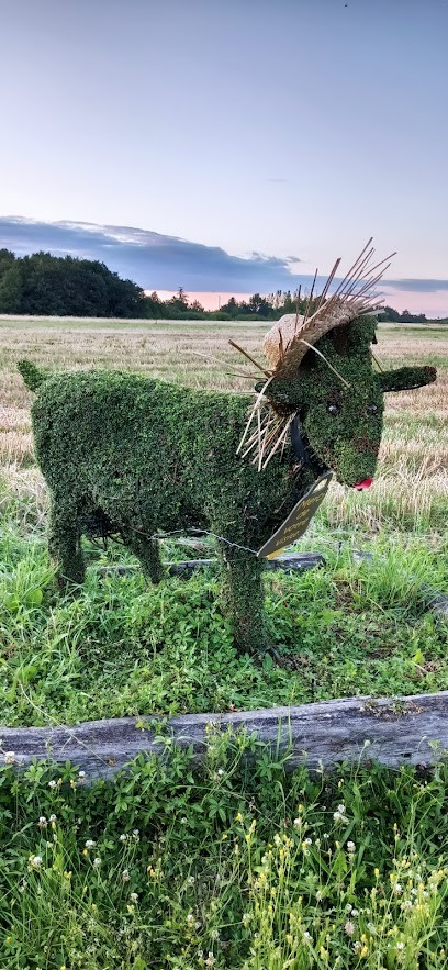 Gîte de la chèvre verte, Location de Vacances à Pocé-sur-Cisse