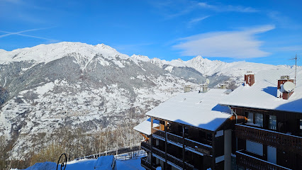 L'écrin Des Sapins, Location De Vacances à Aime-la-Plagne