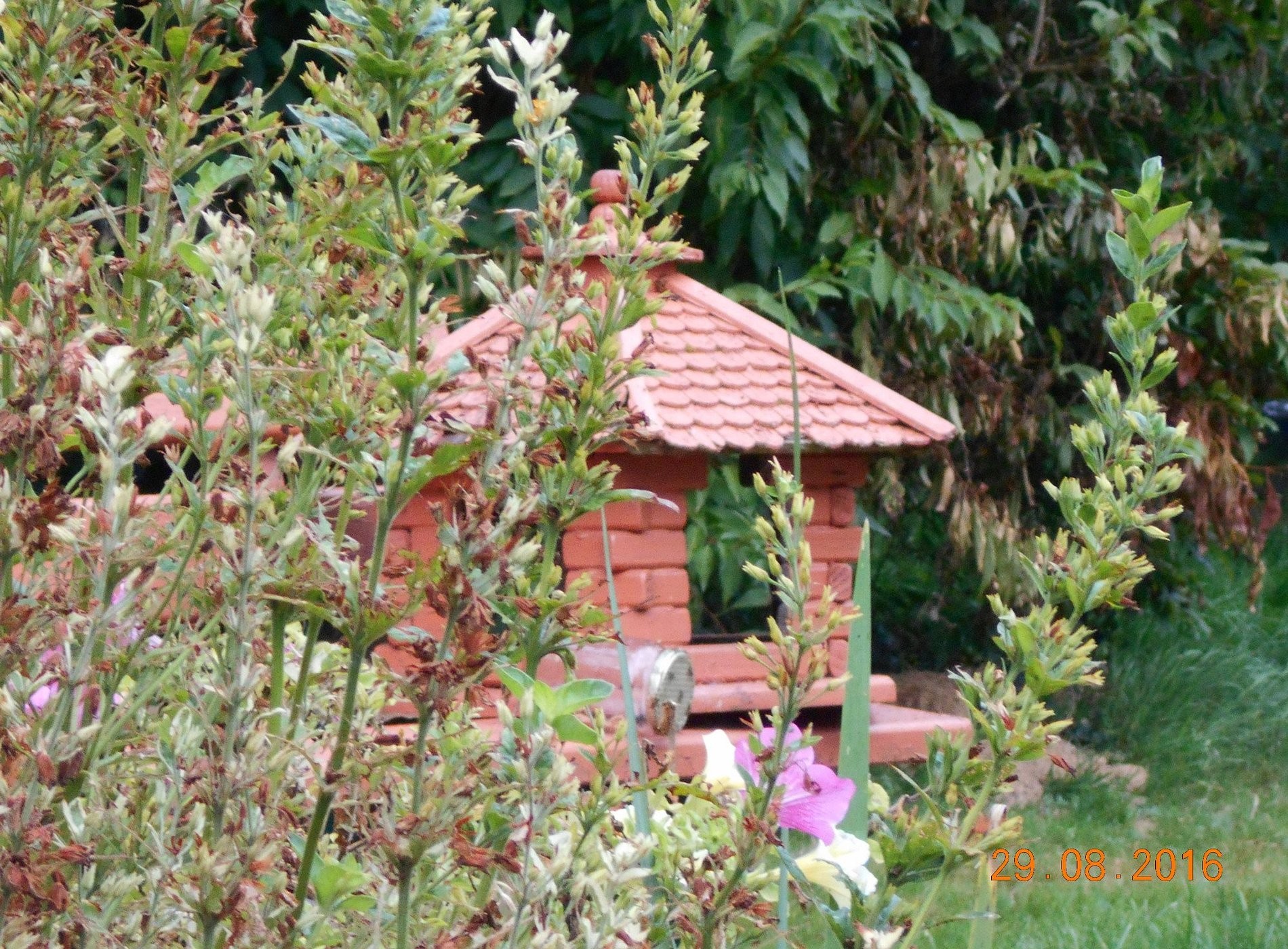 LA GRANGE DE GEORGES, Chambre d'Hôtes à Auneuil