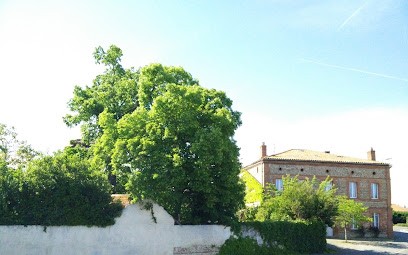 Maison de Maître Gentil'Home, Maison d'Hôtes à Fenouillet