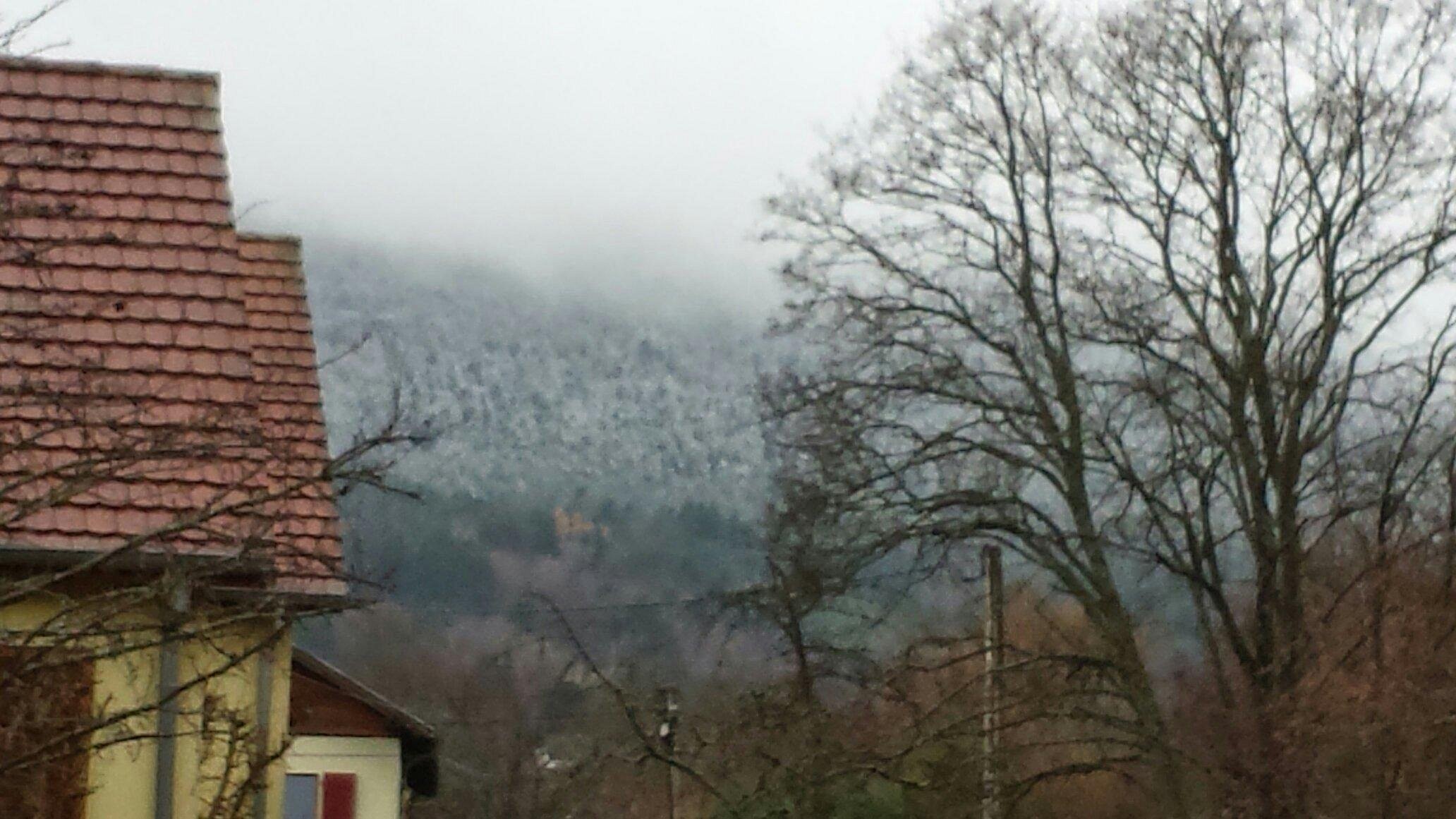 Le clos de la cerisaie, Chambre d'Hôtes à Thannenkirch