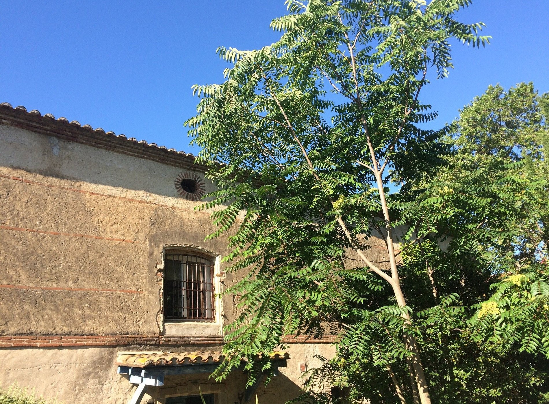 Mas de la Prade, Chambre d'Hôtes à Bages