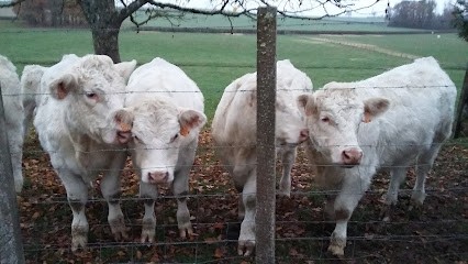 Boulmier Michel, Chambre d'Hôtes à Clomot