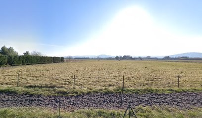 Chambres d'hôtes - Domaine Saint-Pierre - Pertuis, Chambre d'Hôtes à Pertuis