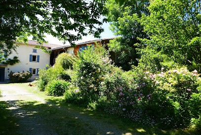 Binette et Pinceaux, Chambre d'Hôtes à Mercenac