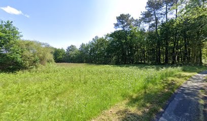 Bds Sarl, Chambre d'Hôtes à Saint-Savin