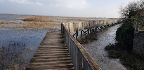 cabanes les blounges, Chambre d'Hôtes à Gujan-Mestras