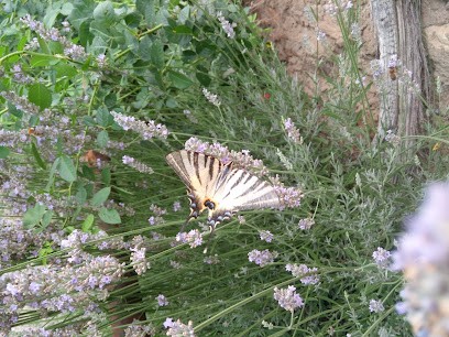 Il était une fois, Chambre d'Hôtes à Ternand