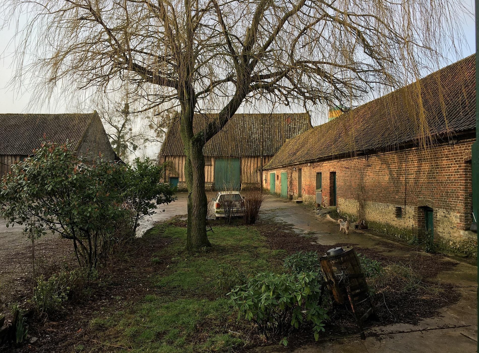 Ferme Du Louvet, Chambre d'Hôtes à Longfossé