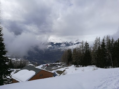 Chalet La Longue Vue, Vallandry, Location de Vacances à Landry