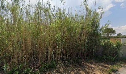 Douce détente en Provence, Chambre d'Hôtes à Eyragues